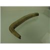 Image 2 : Bone Hide Scraper