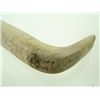 Image 4 : Bone Hide Scraper