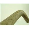 Image 5 : Bone Hide Scraper