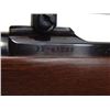 Image 22 : Ruger M77 Rifle with Scope