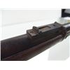 Image 12 : Springfield 1884 U.S. Army "Trapdoor" Rifle