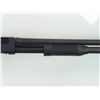 Image 11 : Wingchester Model 1300 Defender Shotgun