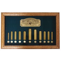 Shotgun Shell Display