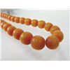 Image 5 : Copol Amber Trade Beads