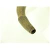 Image 5 : 2 Antique Powder Horns
