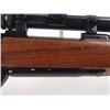 Image 14 : Sturm / Ruger M77 Rifle with Scope