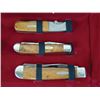 Image 4 : Set Of 12 Case Pocket Knifes, New in "Case"Display