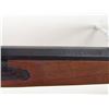 Image 3 : Thompson Black Powder Percussion Musket