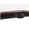 Image 9 : JC Higgins Model 31 Semi-Auto Rifle