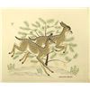 Image 1 : Vintage Navajo Racing Fawn Print, Harrison Begay