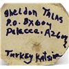 Image 5 : Hopi Turkey Kachina by Sheldon Talas
