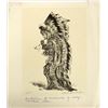 Image 2 : Vintage Print by Charles Banks Wilson
