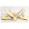 Image 1 : Spanish Colonial Carved Aspen Birds by G. Lopez