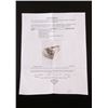 Image 12 : Wonderful 14K Plumb Gold & Diamond Ring