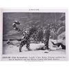 Image 11 : American Wild Life, Illustrated;1944