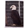 Image 7 : American Wild Life, Illustrated;1944