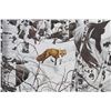 Image 3 : Signed Bev Doolittle "Woodland Encounter" Print