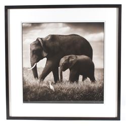 Nick Brandt Walking In Tandem Limited Edt Print