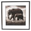 Image 1 : Nick Brandt Walking In Tandem Limited Edt Print