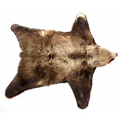 Trophy Alaskan Kodiak Brown Bear Rug