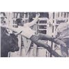 Image 10 : Early Levi's Jeans Rodeo Advertisement Poster RARE