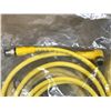Image 11 : LOT OF TURCK MISC. CORD SET *SEE PICS FOR PART #*