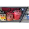 Image 2 : Multiple Metal & Plastic Gas Cans, WD-40, Caulking, Paint Remover, etc