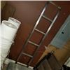 Image 1 : 6FT STAINLESS LADDER