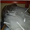 Image 2 : BUBBLE WRAP AND VACUUM BAGS