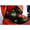 Image 2 : BOCCE SET