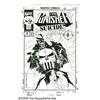 Image 1 : Michael Golden - The Punisher #86 Cover Original 