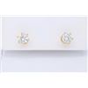 Image 1 : 14KT Yellow Gold 1.00ctw Diamond Earrings