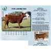Image 1 : Lot - 5 - FCR LAKINA 904