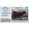 Image 1 : Lot - 8 - 1MJM LEXI 904
