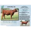 Image 1 : Lot - 9 - AJM OPAL 192