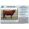 Image 1 : Lot - 14 - BCRR NEXA 824F