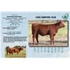 Image 1 : Lot - 15 - CRA EMPIRE SUE