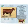 Image 1 : Lot - 29 - KCC JOLENE F66