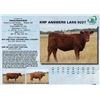 Image 1 : Lot - 31 - KRP ANSWERS LASS 9227