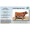 Image 1 : Lot - 37 - LUCHT MISS WIX 903G