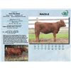 Image 1 : Lot - 52 - RAZZLE