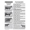 Image 1 : Lot - 2 - Pick of the Bred Heifers