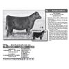 Image 1 : Lot - 6 - BCC BLACKCAP LASS 46G