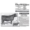 Image 1 : Lot - 9 - BASIN O LASS 8131