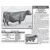 Image 1 : Lot - 16 - HA LASS 3303