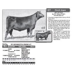 Lot - 17 - FF HENRIETTA PRIDE G7