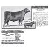 Image 1 : Lot - 17 - FF HENRIETTA PRIDE G7