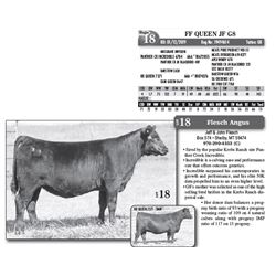 Lot - 18 - FF QUEEN JF G8