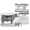 Image 1 : Lot - 18 - FF QUEEN JF G8