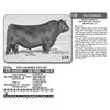 Image 1 : Lot - 19 - FOX CHARMER TINA 907